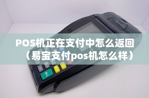 POS机正在支付中怎么返回（易宝支付pos机怎么样）