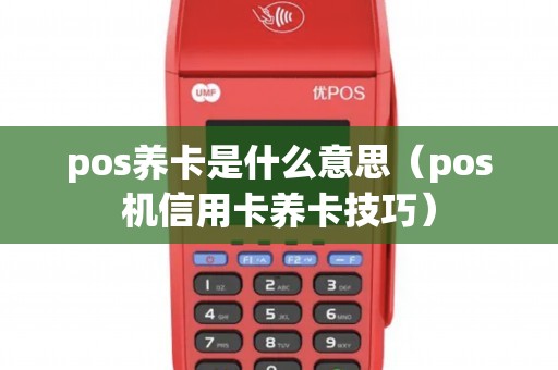 pos养卡是什么意思（pos机信用卡养卡技巧）