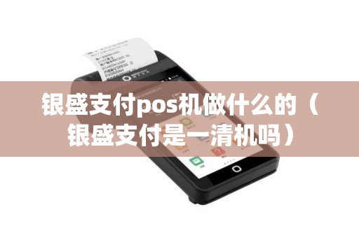 银盛支付pos机做什么的（银盛支付是一清机吗）