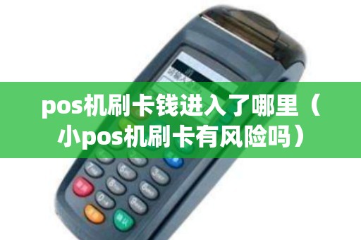 pos机刷卡钱进入了哪里（小pos机刷卡有风险吗）