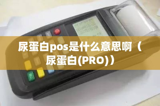 尿蛋白pos是什么意思啊（尿蛋白(PRO)）