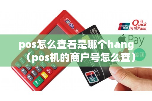 pos怎么查看是哪个hang（pos机的商户号怎么查）