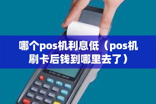 哪个pos机利息低（pos机刷卡后钱到哪里去了）