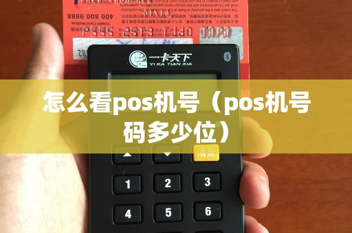 怎么看pos机号（pos机号码多少位）