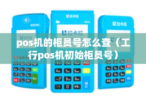 pos机的柜员号怎么查（工行pos机初始柜员号）