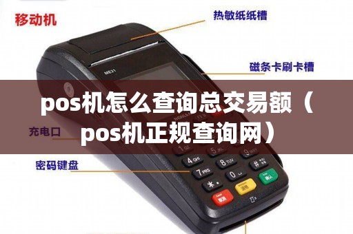 pos机怎么查询总交易额（pos机正规查询网）