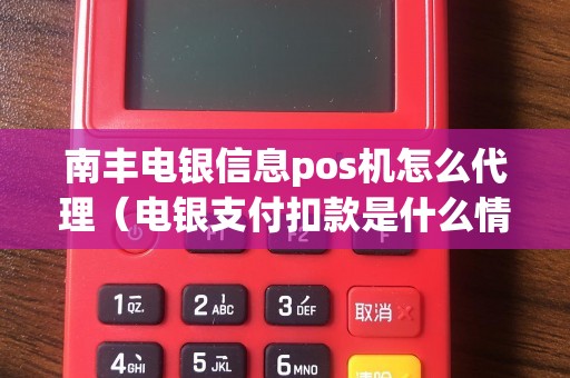 南丰电银信息pos机怎么代理（电银支付扣款是什么情况）