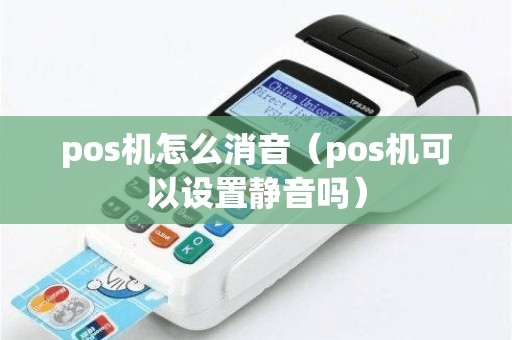 pos机怎么消音（pos机可以设置静音吗）