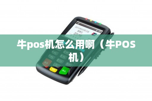 牛pos机怎么用啊（牛POS机）