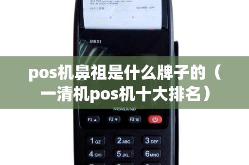 pos机鼻祖是什么牌子的(一清机pos机十大排名) pos机鼻祖是什么牌子的(一清机pos机十大排名)