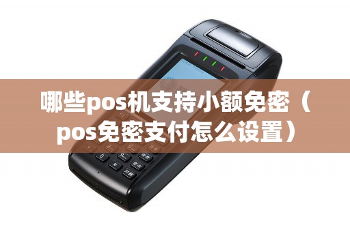 哪些pos机支持小额免密（pos免密支付怎么设置）