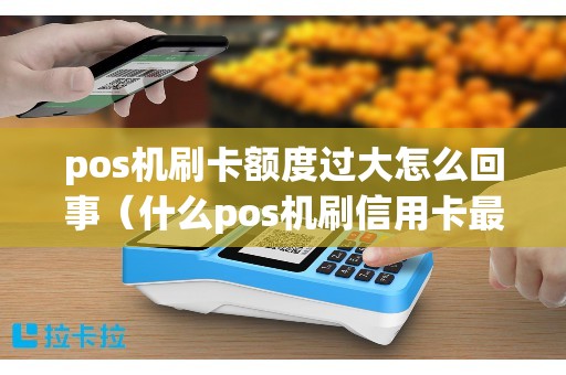 pos机刷卡额度过大怎么回事（什么pos机刷信用卡最好）