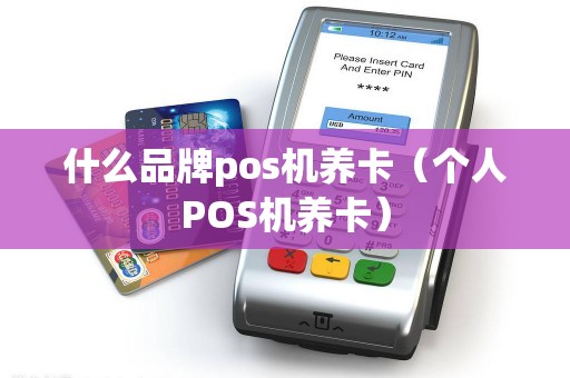 什么品牌pos机养卡（个人POS机养卡）
