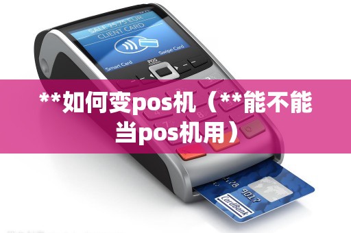 **如何变pos机（**能不能当pos机用）