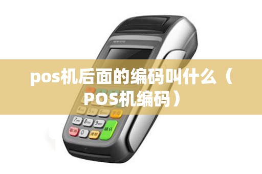 pos机后面的编码叫什么（POS机编码）