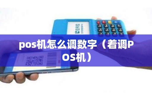 pos机怎么调数字（着调POS机）