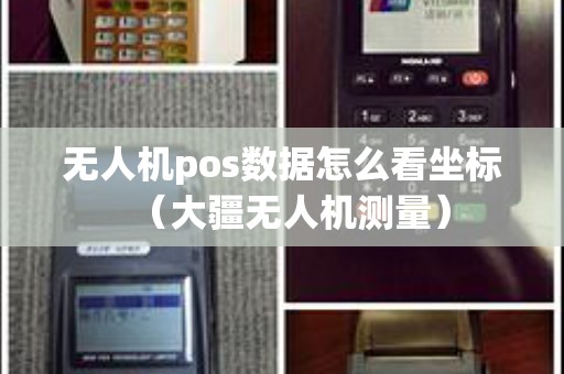 无人机pos数据怎么看坐标（大疆无人机测量）