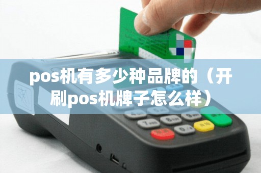 pos机有多少种品牌的（开刷pos机牌子怎么样）