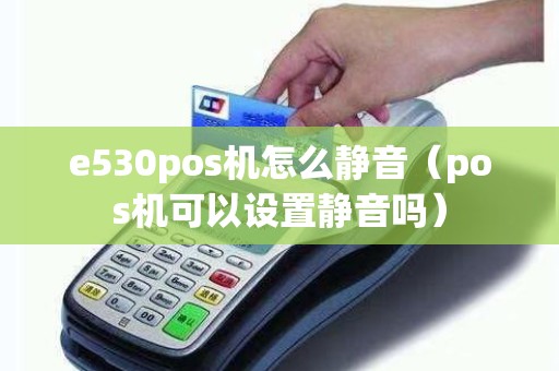 e530pos机怎么静音（pos机可以设置静音吗）