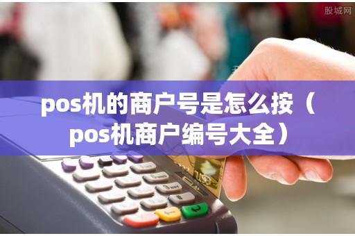 pos机的商户号是怎么按（pos机商户编号大全）