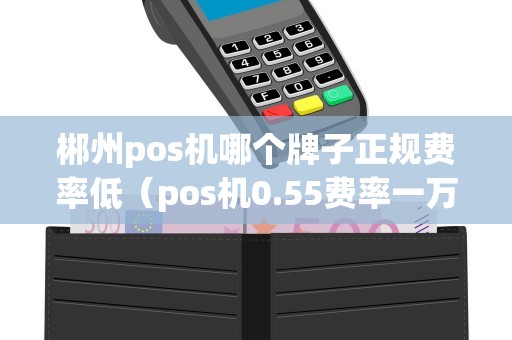 郴州pos机哪个牌子正规费率低（pos机0.55费率一万是多少手续费）