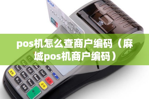 pos机怎么查商户编码（麻城pos机商户编码）