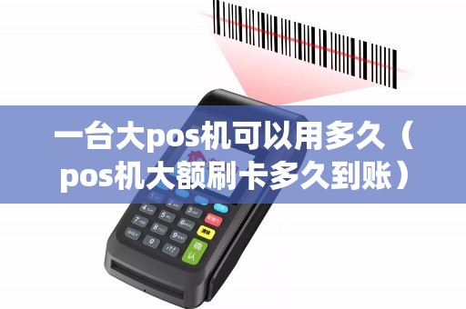 一台大pos机可以用多久（pos机大额刷卡多久到账）