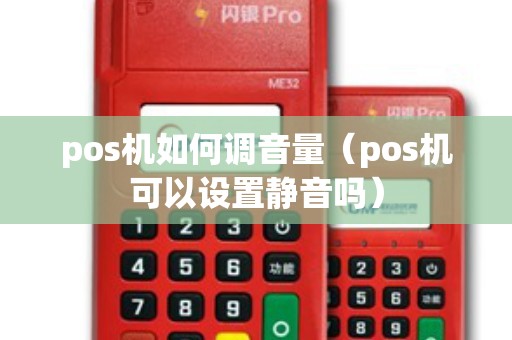 pos机如何调音量（pos机可以设置静音吗）