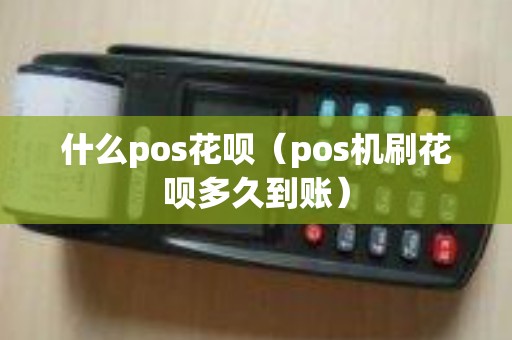 什么pos花呗（pos机刷花呗多久到账）