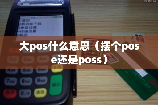 大pos什么意思（摆个pose还是poss）