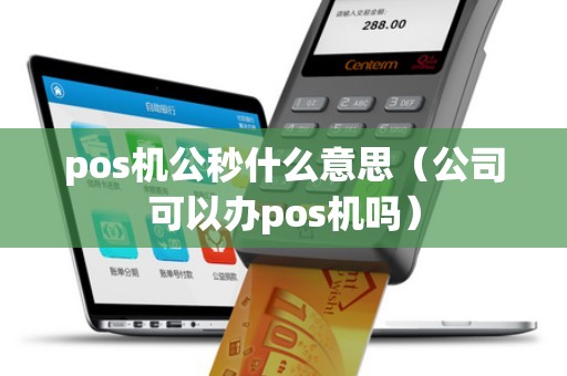 pos机公秒什么意思（公司可以办pos机吗）