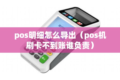 pos明细怎么导出（pos机刷卡不到账谁负责）