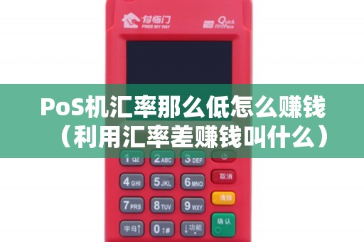 PoS机汇率那么低怎么赚钱（利用汇率差赚钱叫什么）