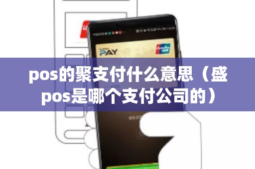 pos的聚支付什么意思（盛pos是哪个支付公司的）
