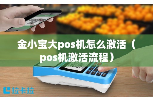金小宝大pos机怎么激活（pos机激活流程）