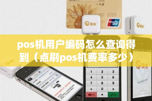 pos机用户编码怎么查询得到（点刷pos机费率多少）