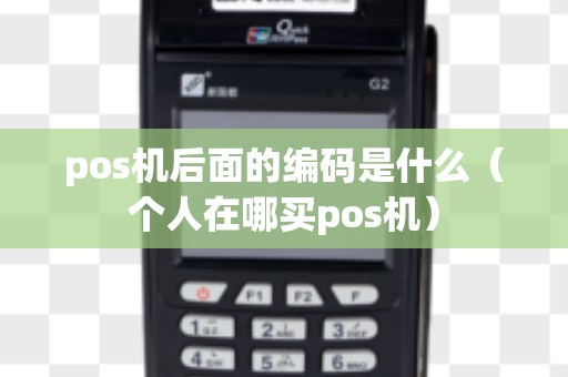 pos机后面的编码是什么（个人在哪买pos机）