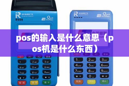 pos的输入是什么意思（pos机是什么东西）