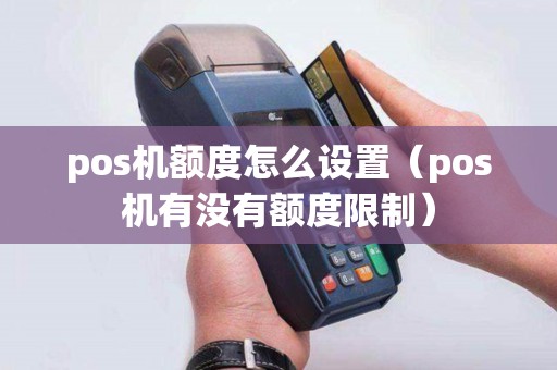 pos机额度怎么设置（pos机有没有额度限制）