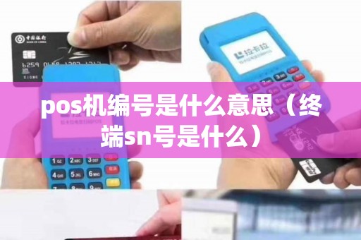 pos机编号是什么意思（终端sn号是什么）