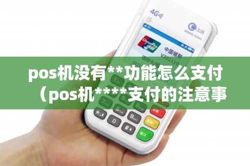 pos机没有**功能怎么支付（pos机****支付的注意事项）