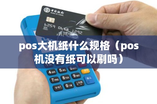 pos大机纸什么规格（pos机没有纸可以刷吗）
