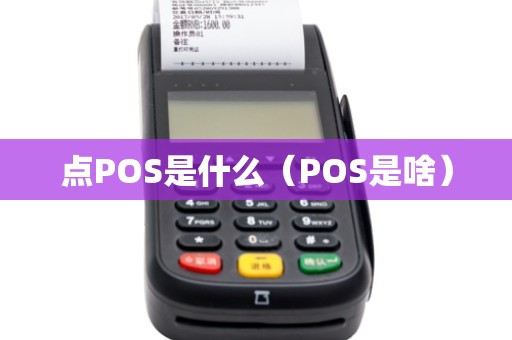 点POS是什么（POS是啥）