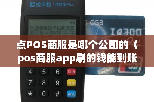 点POS商服是哪个公司的（pos商服app刷的钱能到账吗）