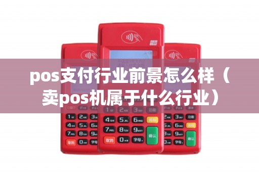 pos支付行业前景怎么样（卖pos机属于什么行业）