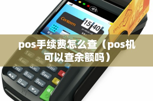pos手续费怎么查（pos机可以查余额吗）