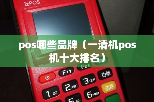 pos哪些品牌（一清机pos机十大排名）
