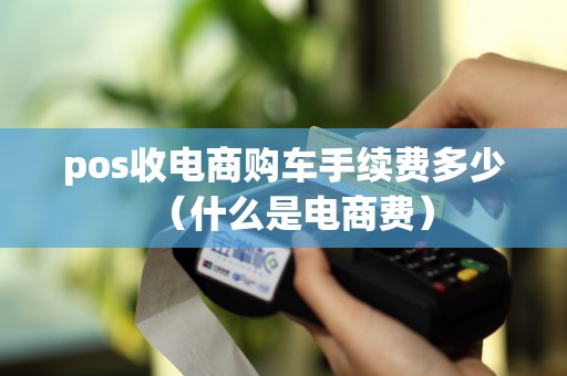 pos收电商购车手续费多少（什么是电商费）