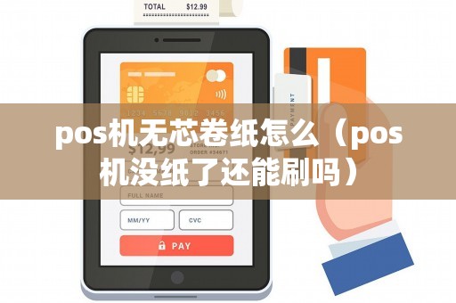 pos机无芯卷纸怎么（pos机没纸了还能刷吗）