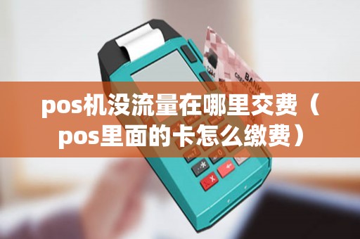 pos机没流量在哪里交费（pos里面的卡怎么缴费）